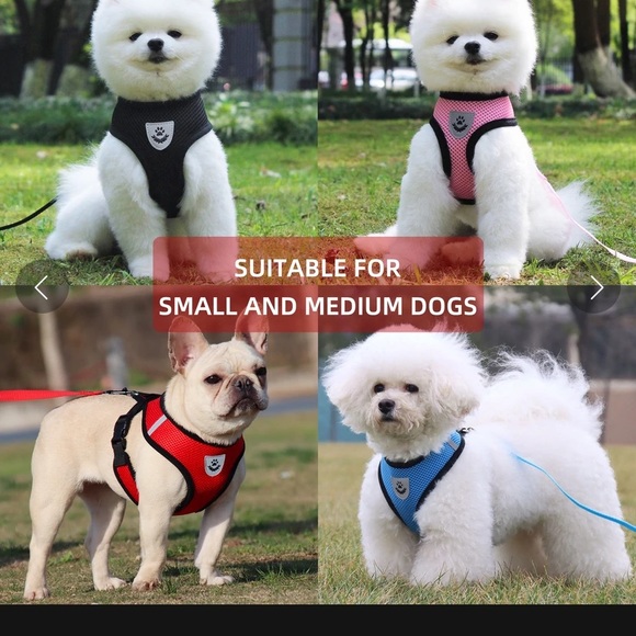 NWT Comfort Dog Harness Leash Bundle Set - Picture 6 of 6